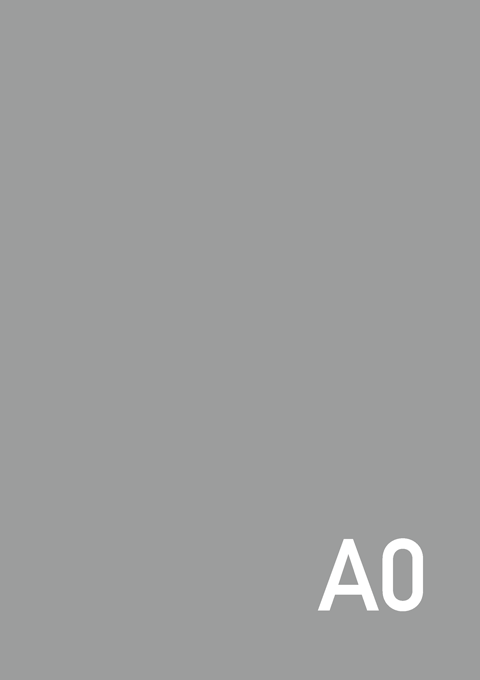 A0