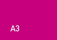 A3